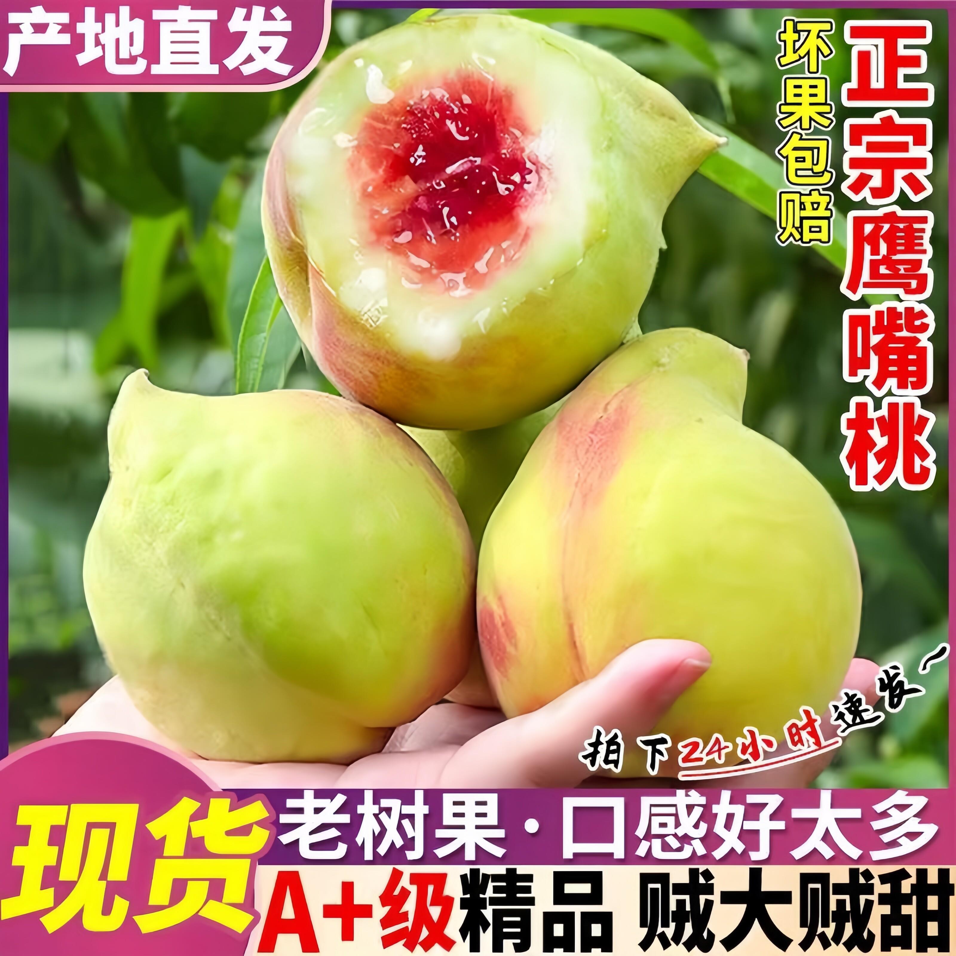 正宗云南高山鹰嘴桃新鲜