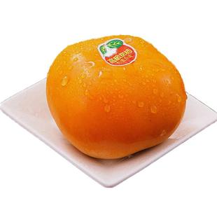 正宗台湾品种富有脆柿子次郎甜柿大果脆甜爽口树上熟完全不涩包邮