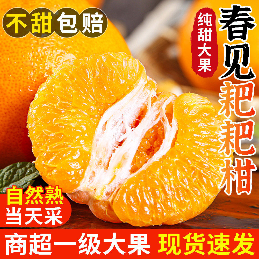 正宗四川春见耙耙柑10斤新鲜水果当季整箱丑八怪橘子特级粑粑柑桔,包装,水果包装,淘宝优惠券,粉丝福利购,淘宝优惠卷