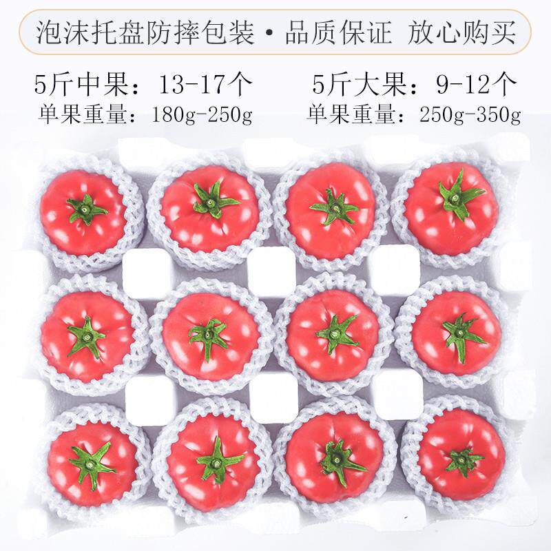 云南正宗普罗旺斯沙瓤西红柿新鲜自然熟老品种水果大番茄生吃蔬菜