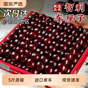 智利车厘子5斤礼盒新鲜水果包邮当季整箱桑提娜4j孕妇进口3大樱桃