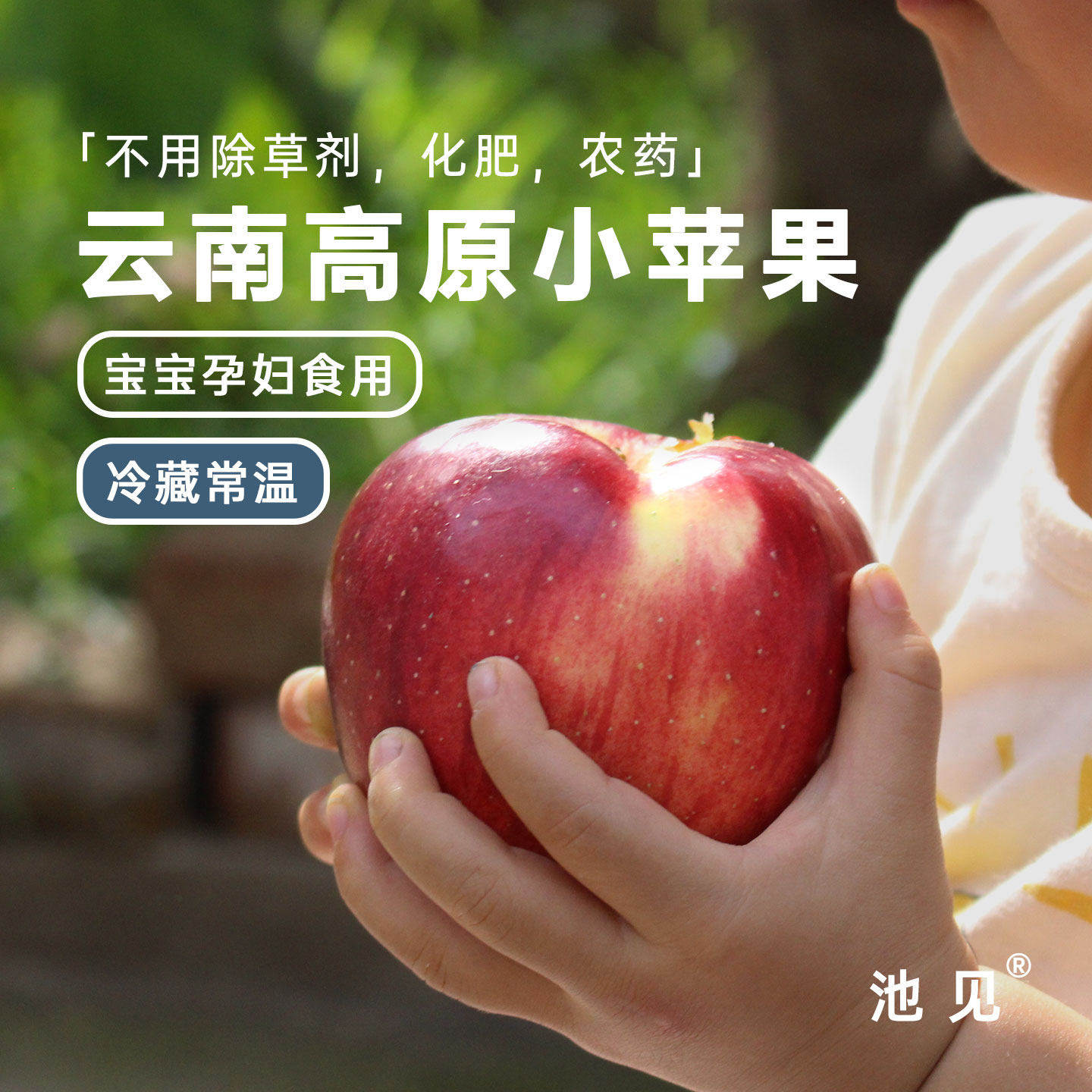 池见 云南石林高原野有及夏露富士小苹 果(酸甜爽脆)当季新鲜水果,包装,水果包装,淘宝优惠券,粉丝福利购,淘宝优惠卷