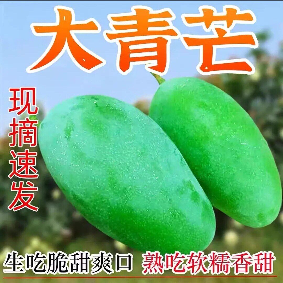 正宗广西新鲜大青芒当季