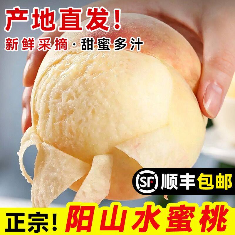 正宗无锡阳山水蜜桃子礼