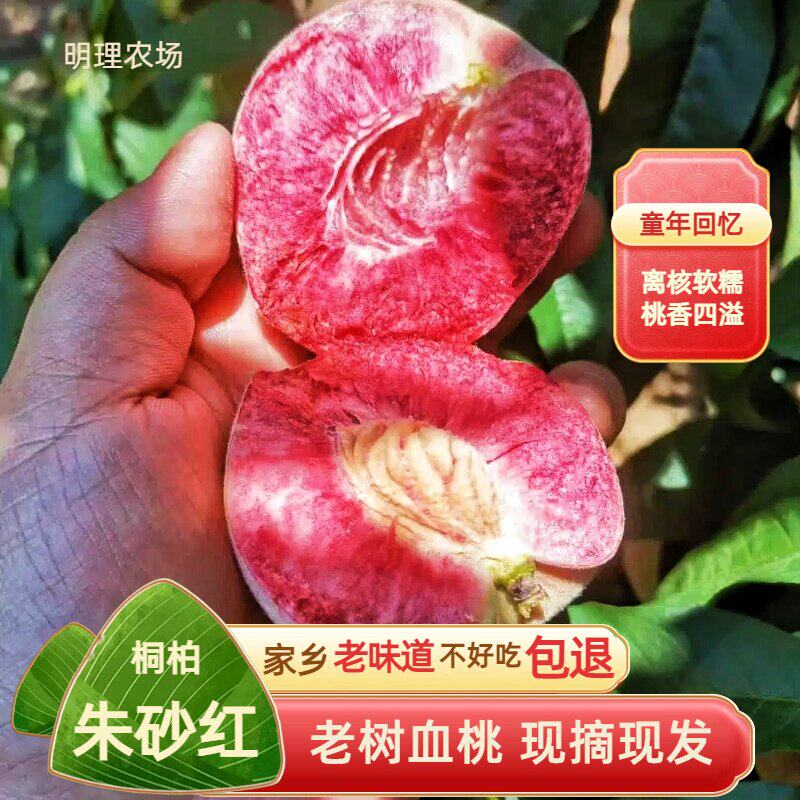 新鲜血桃南阳桐柏朱砂红桃子离核桃头茬孕妇水果应季红心现摘现发