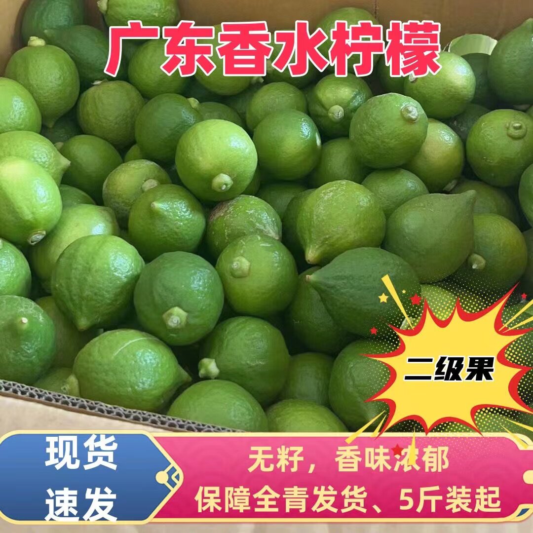 广东香水柠檬新鲜无籽二
