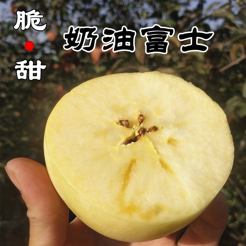 黄金奶油富士苹果山东烟台白色冰糖心新鲜水果当季整箱10斤包邮