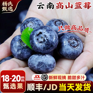【18-20mm】云南花香高山蓝莓新鲜水果当季整箱现摘怡特大果梅颗