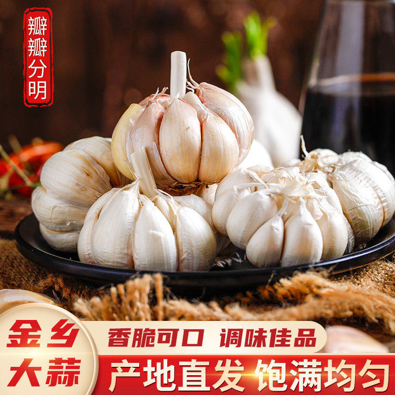 2026年新大蒜干蒜头山东