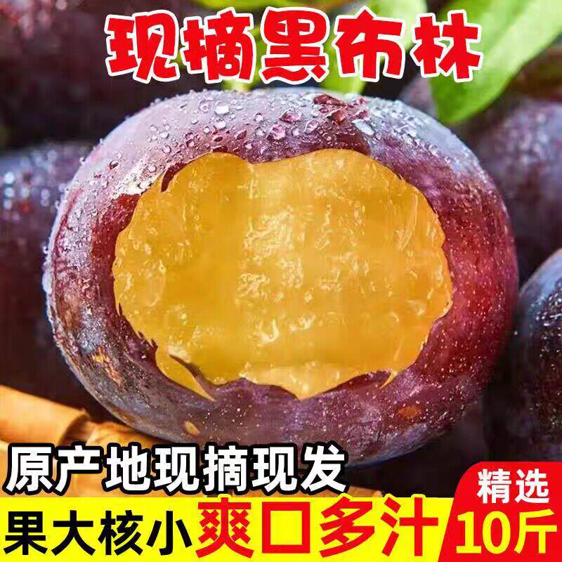 新鲜黑布林大李子10斤现