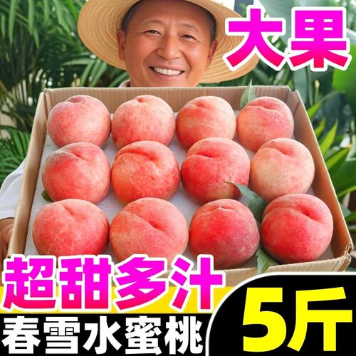 河北春雪水蜜桃5斤新鲜水