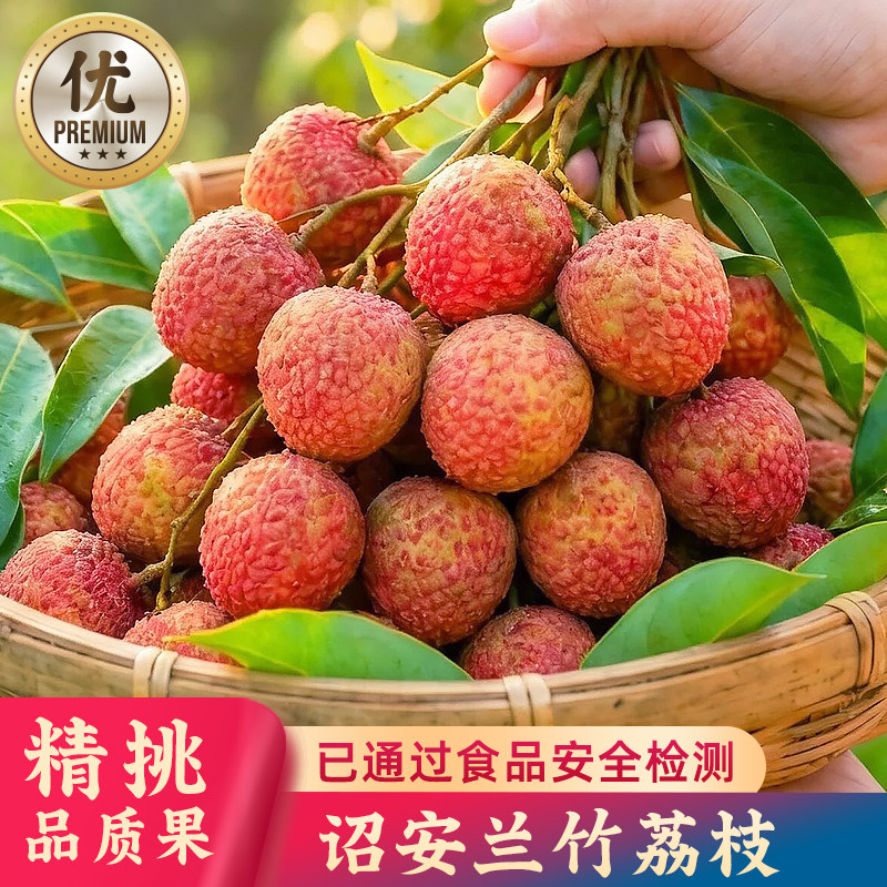 兰竹荔枝新鲜应季水果礼