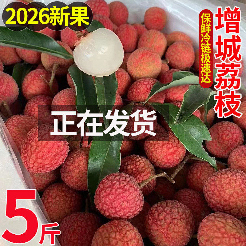 白糖罂荔枝新鲜应季水果