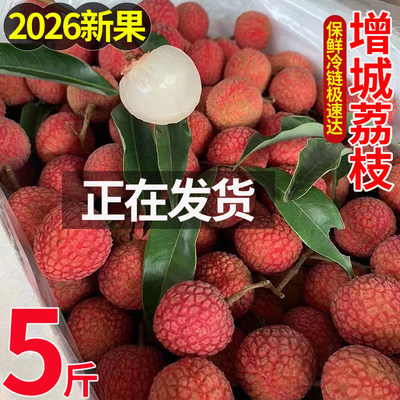 白糖罂荔枝新鲜应季水果