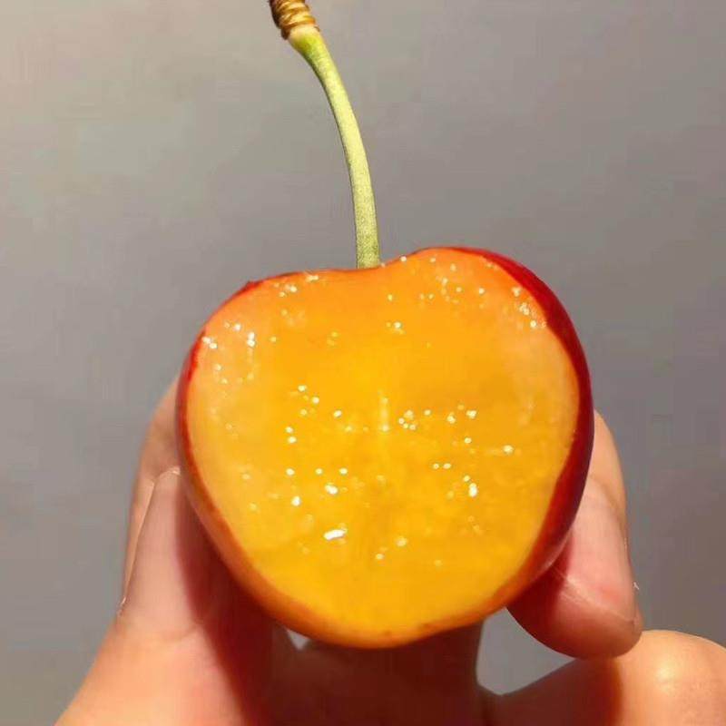 智利进口皇家雷尼尔黄金车厘子新鲜黄色大樱桃4J新鲜孕妇水果顺丰