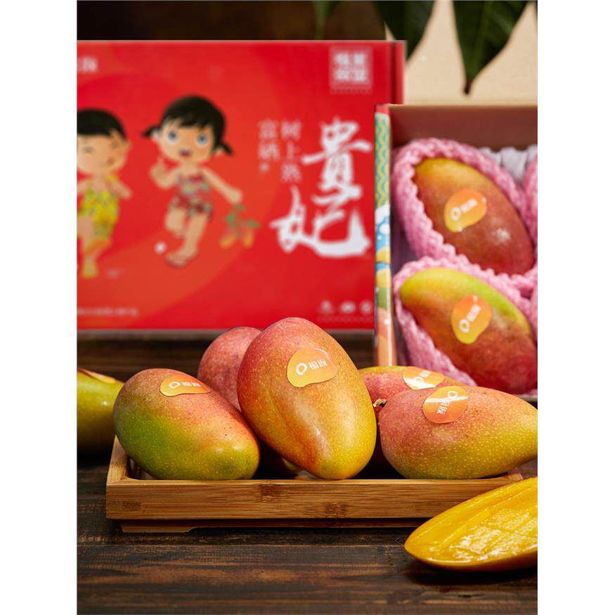 福返树上熟贵妃芒4斤海南三亚芒果红金龙礼盒新鲜水果顺丰包邮