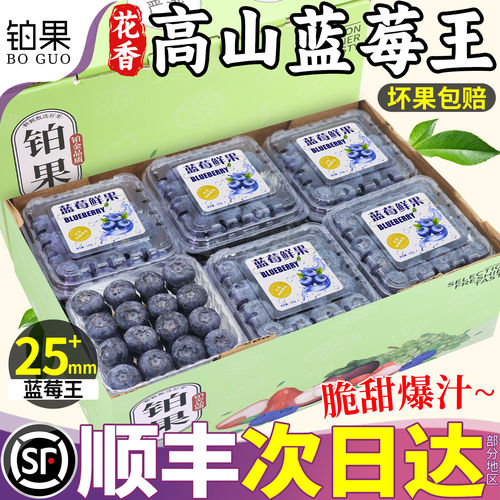 顺丰山东蓝莓新鲜水果12