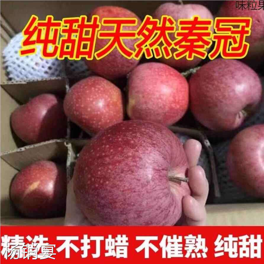 秦冠苹果10斤 陕西礼泉秦观苹果新鲜当季时令现摘冰糖心水果整箱5