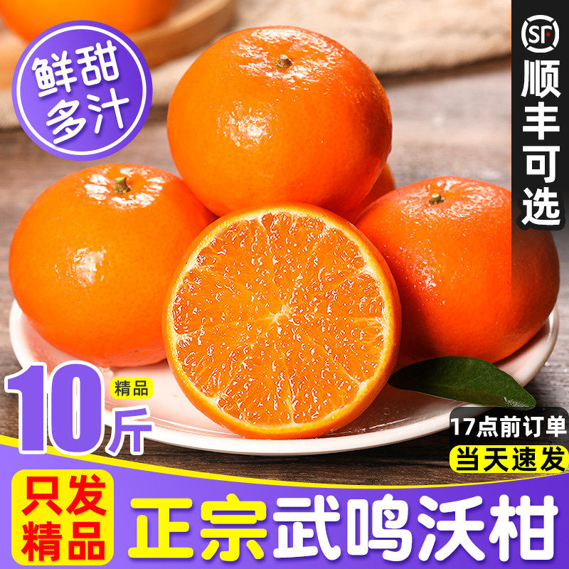 沃柑广西武鸣正宗新鲜10