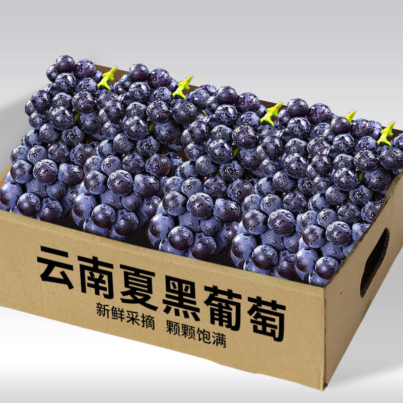 云南夏黑葡萄无籽黑蜜整