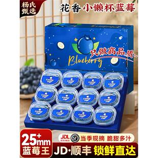 云南高山花香蓝莓l25新鲜水果特大当季整箱小懒杯礼盒blueberry
