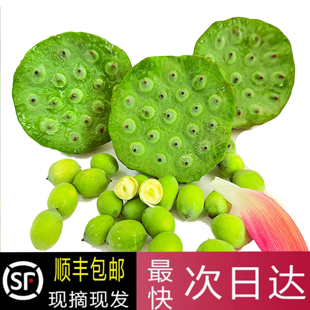 加冰顺丰发货】现摘新鲜