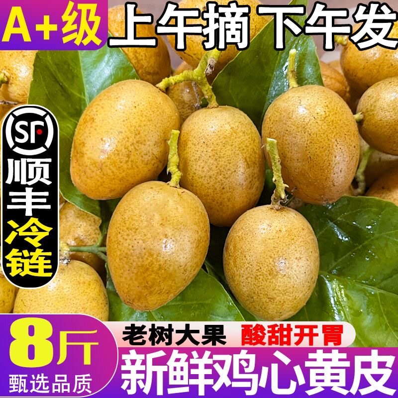 【顺丰加急达】鸡心果黄