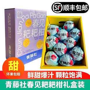青藤社春见耙耙柑6斤礼盒装纯甜丑桔橘子新鲜当季水果顺丰包邮