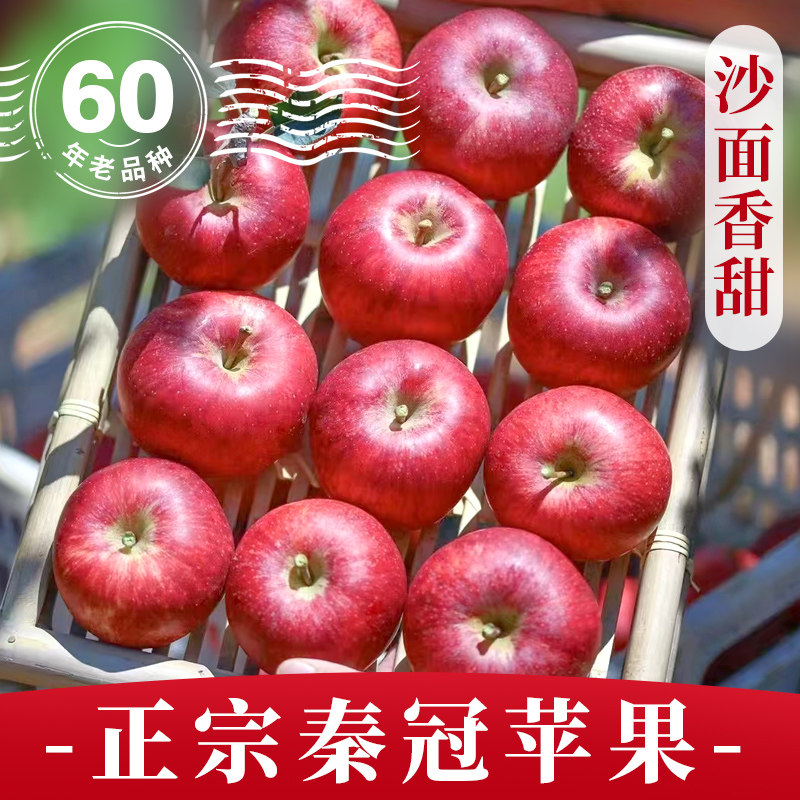陕西秦冠苹果新鲜当季整