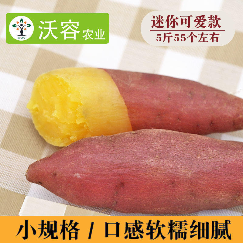 迷你款黄心手指小香薯宝