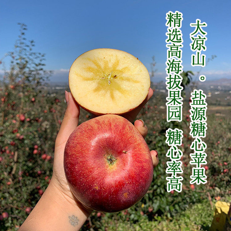 四川大凉山盐源原生态丑苹果冰糖心高原半野生果园直发水果甜顺丰