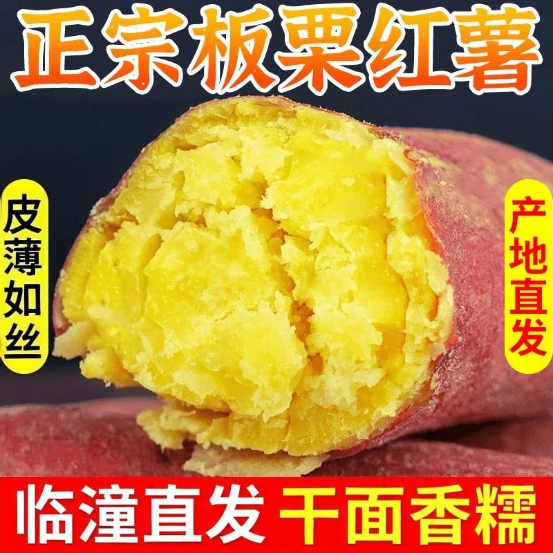 陕西板栗薯红薯新鲜3/5/1