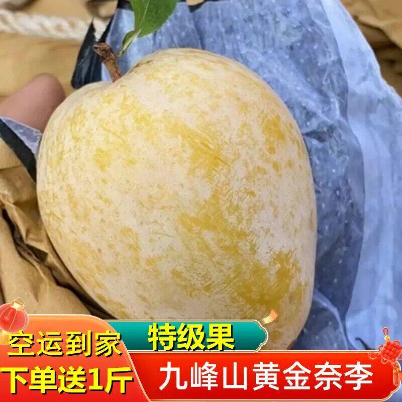 广东韶关乐昌九峰山特大