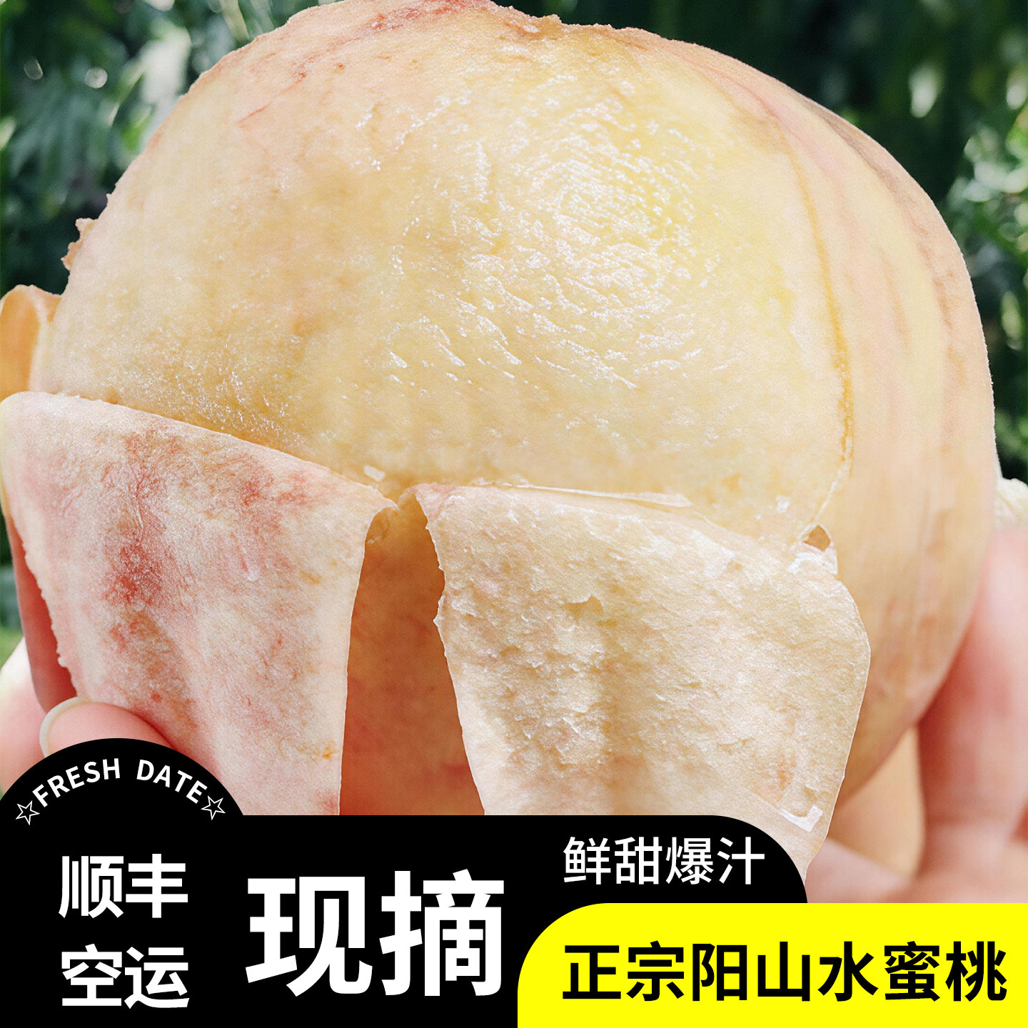 【现货秒发】正宗阳山水