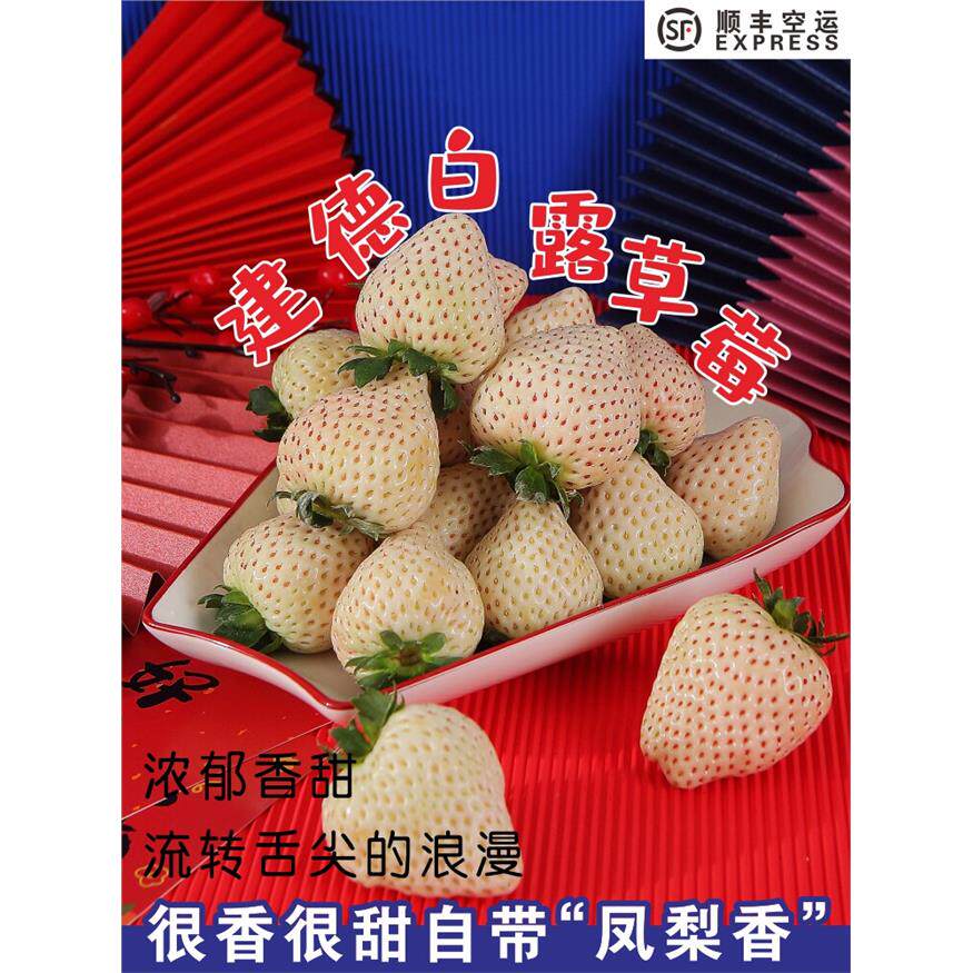 宥小宝建德白露草莓淡雪白色奶油草莓新鲜当季现摘水果精品大礼盒