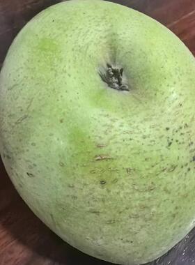 正宗烟台印度青苹果老品种印冬常青甜蕉甜青香蕉丑苹果纯甜不带酸