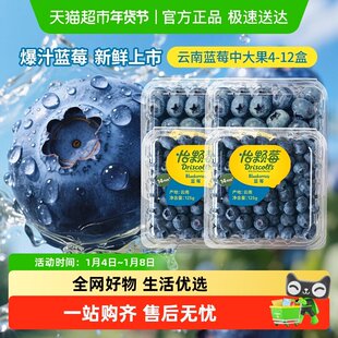 DRISCOLL'S/怡颗莓云南蓝莓中/大果当季进口新鲜水果顺丰中秋礼盒