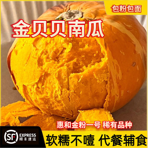金贝贝南瓜正宗板栗味惠