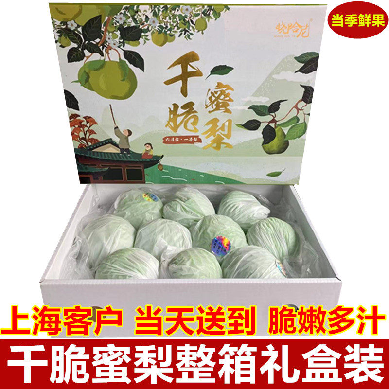 现货千脆蜜梨青皮梨翡翠
