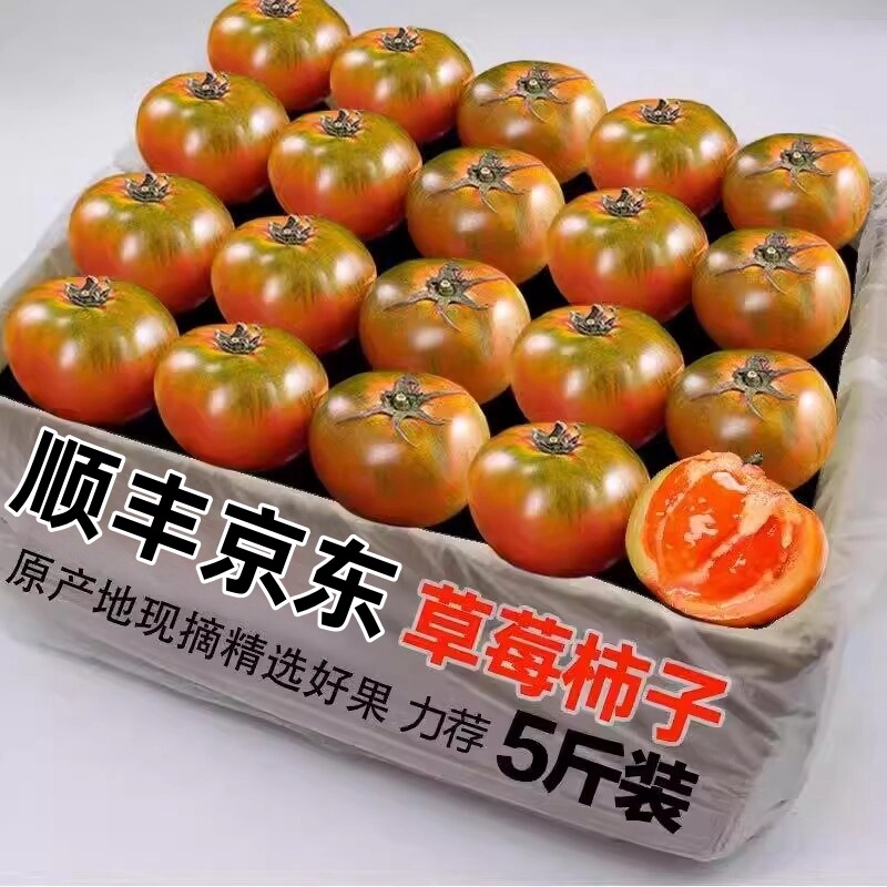 丹东草莓柿子西红柿新鲜