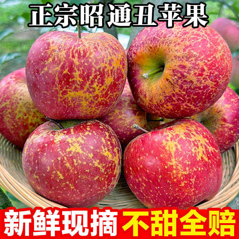 云南昭通冰糖心丑苹果当季现摘孕妇时令新鲜水果脆甜高山富士整箱,包装,水果包装,淘宝优惠券,粉丝福利购,淘宝优惠卷