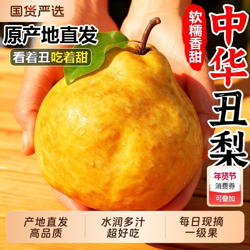 正宗山东烟台丑梨中华莱阳丑梨子新鲜水果当季丑八怪太婆梨孕妇9,包装,水果包装,淘宝优惠券,粉丝福利购,淘宝优惠卷