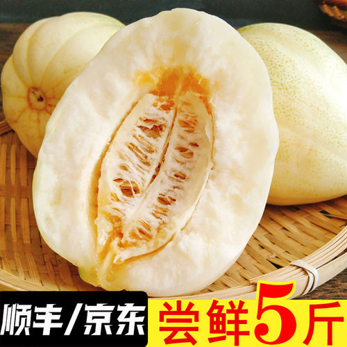 东北香瓜甜瓜特产时令生
