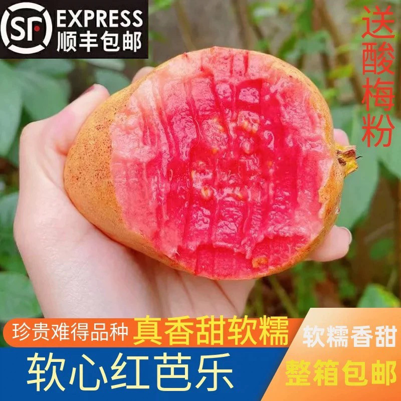 顺丰包邮福建漳州红心芭
