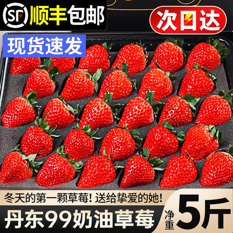 丹东99草莓新鲜5斤当季整箱红颜奶油九九牛奶大草莓礼盒3顺丰包邮