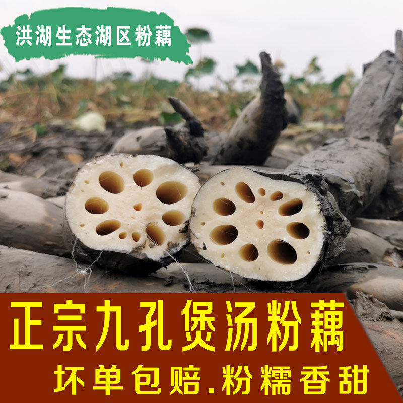 正宗湖北洪湖莲藕新鲜5斤包邮农家蔬菜煲汤粉藕新鲜莲藕现挖特产