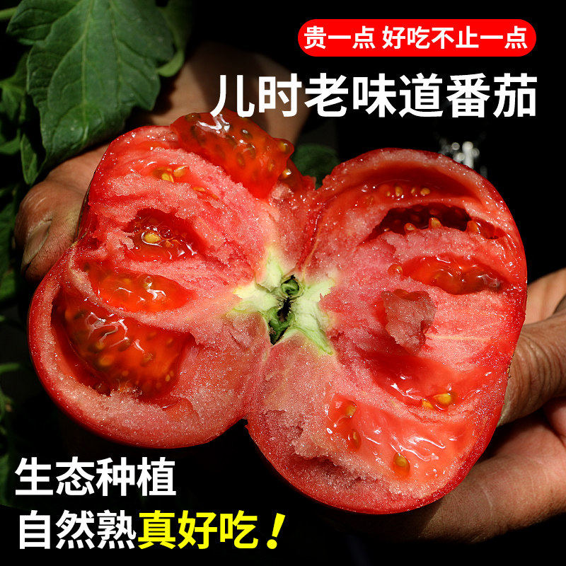 密农人家沙瓤西红柿大番