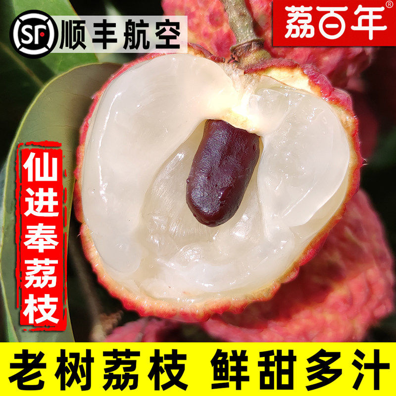 仙进奉荔枝新鲜2026当季