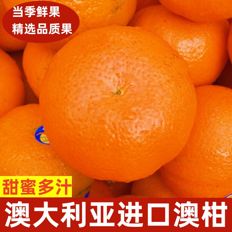 澳大利亚进口蜜橘子蜜桔