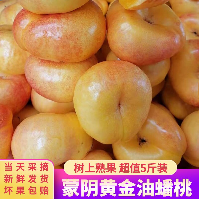 黄金蟠桃新鲜水果黄油蟠桃蒙阴黄蟠桃扁桃黄金油蟠桃新鲜毛蟠桃子